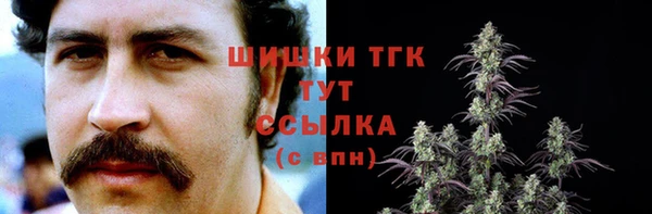твердый Армянск