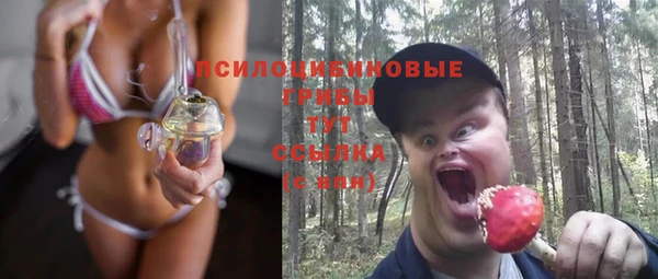 твердый Армянск