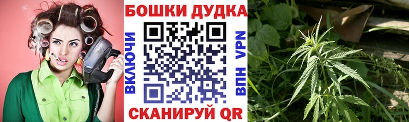 цены наркотик  Соликамск  Бошки Шишки SATIVA & INDICA 